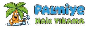 En iyi Halı yıkama